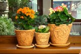 Котики горшки керамические