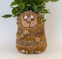 Кот учёный кашпо необычное