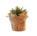 Котята милые кашпо
