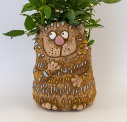 Кот учёный кашпо необычное