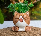 Аниме счастливый котёнок кашпо, фигурка