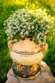 Лягушка на камне садовая фигура