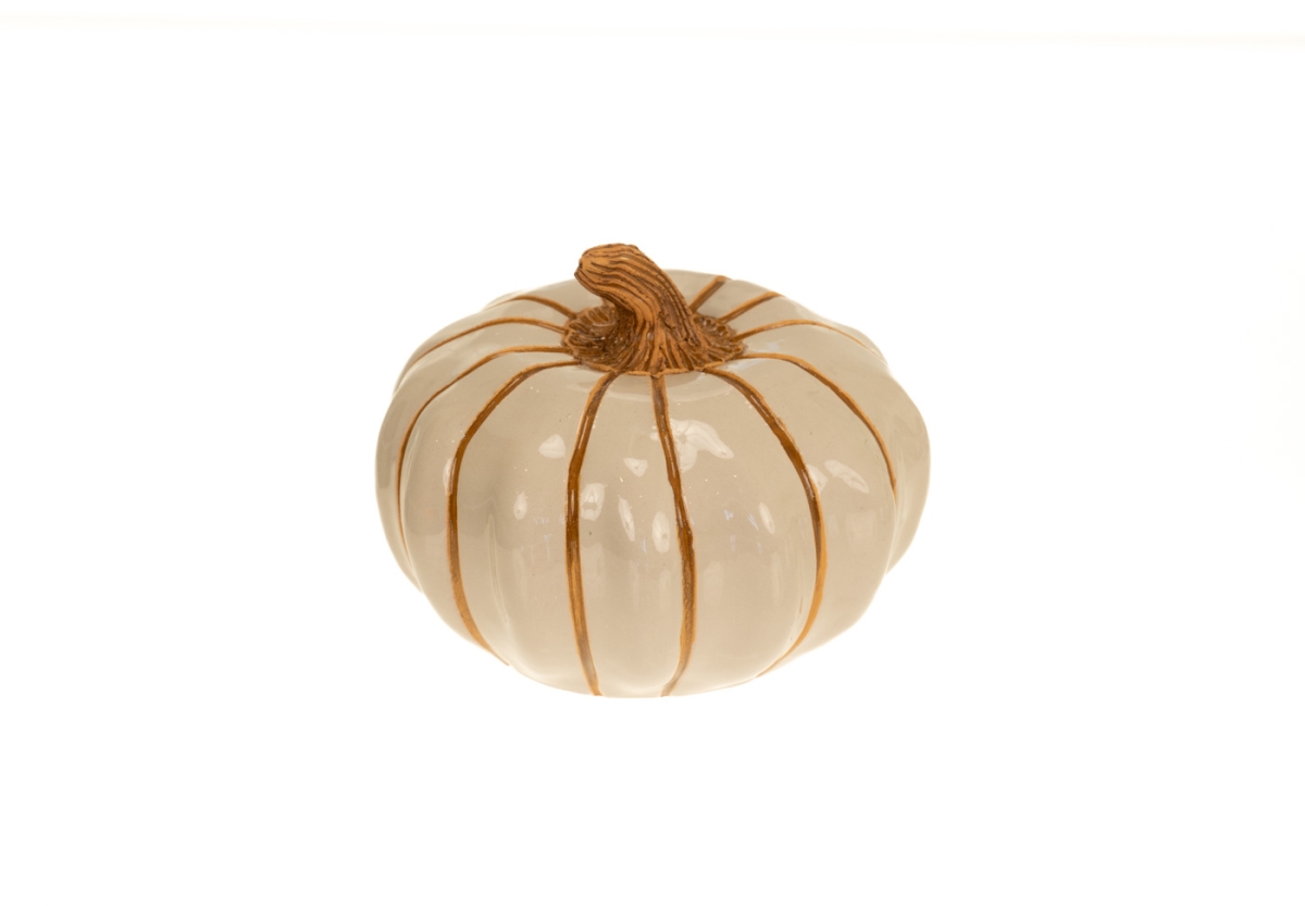 Тыква белая, декоративный овощ