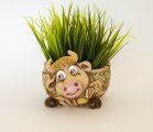 Корова кашпо для кактусов и суккулентов